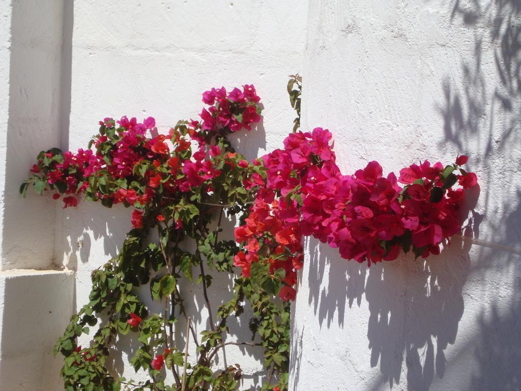 Masseria Bianca Di Puglia Monopoli Rum bild